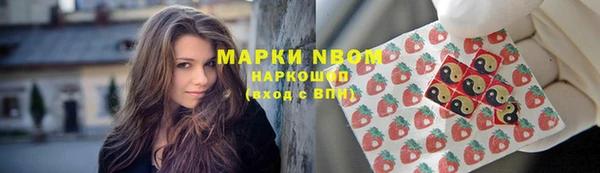 дмт Алексин