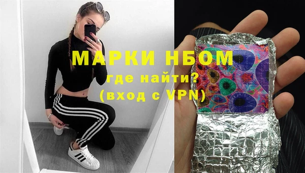 дмт Алексин