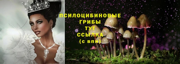 мяу мяу мука Алексеевка