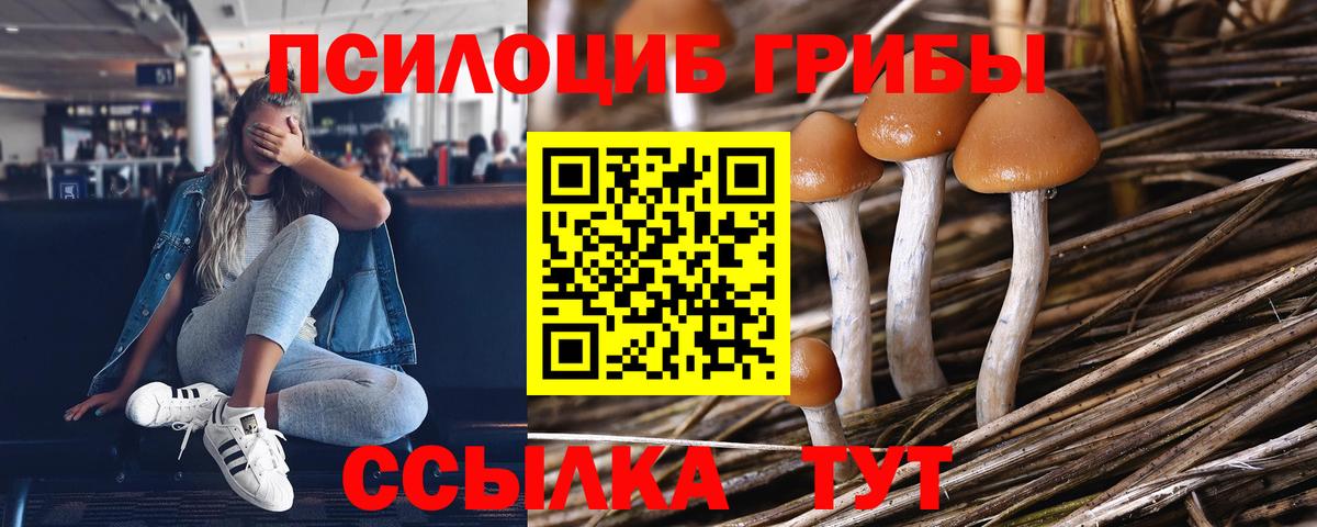 Псилоцибиновые грибы ЛСД Кольчугино
