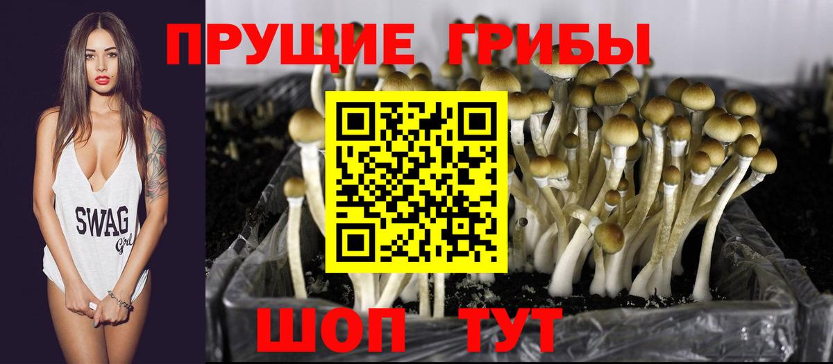 Мефедрон   Кольчугино  Бошки Шишки  Купить  ГАШ  Вход с VPN  COCAIN 