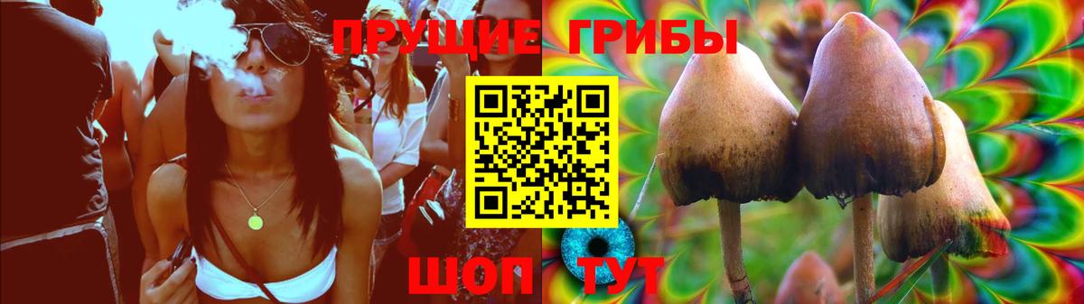 Кольчугино  Псилоцибиновые грибы прущие грибы  Вход с VPN 